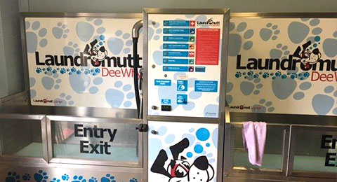 dogwash-product2.jpg