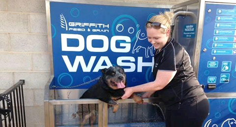 the dog wash