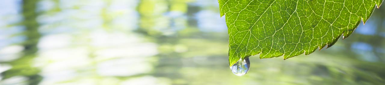 Sustainability